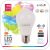 Smart LED Globe A60 9.4W RGB+W WIFI + BLE APP Control