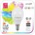 Smart LED Mini Globe 4.9W RGB+W WIFI + BLE APP Control