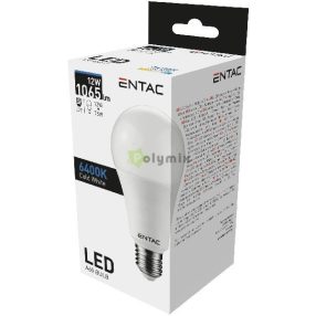LED Globe E27 12W CW 6400K