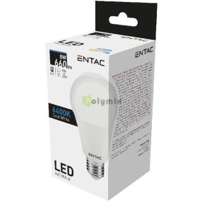 LED Globe E27 8W CW 6400K